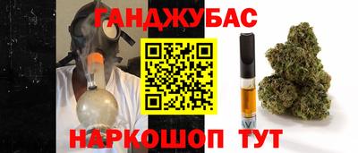 прущие грибы Абакан