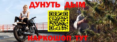 прущие грибы Абакан
