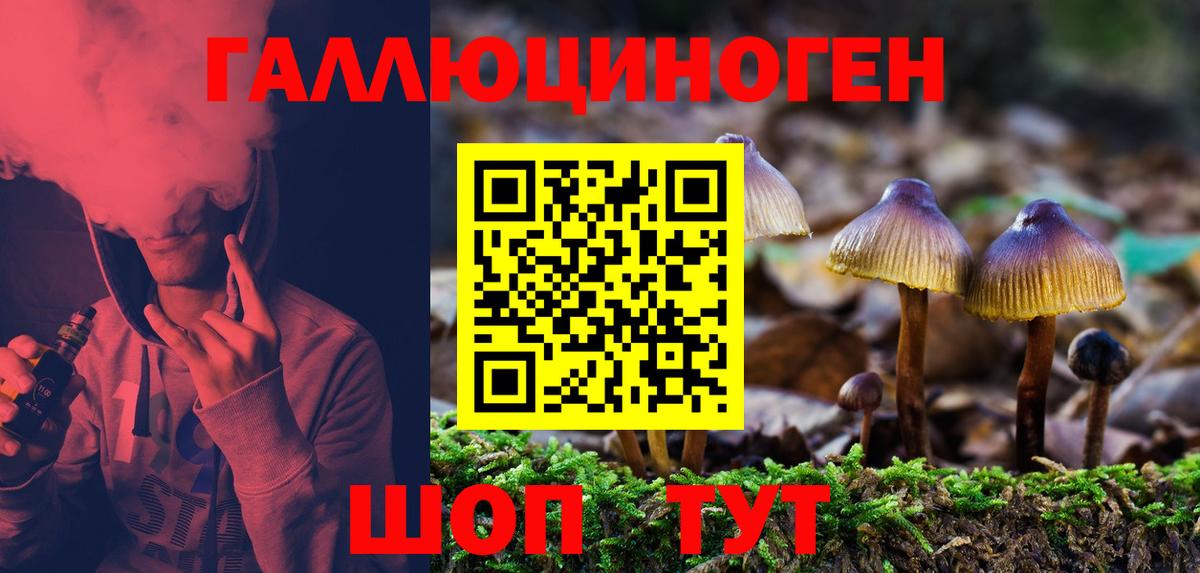 Галлюциногенные грибы Psilocybine cubensis Апатиты