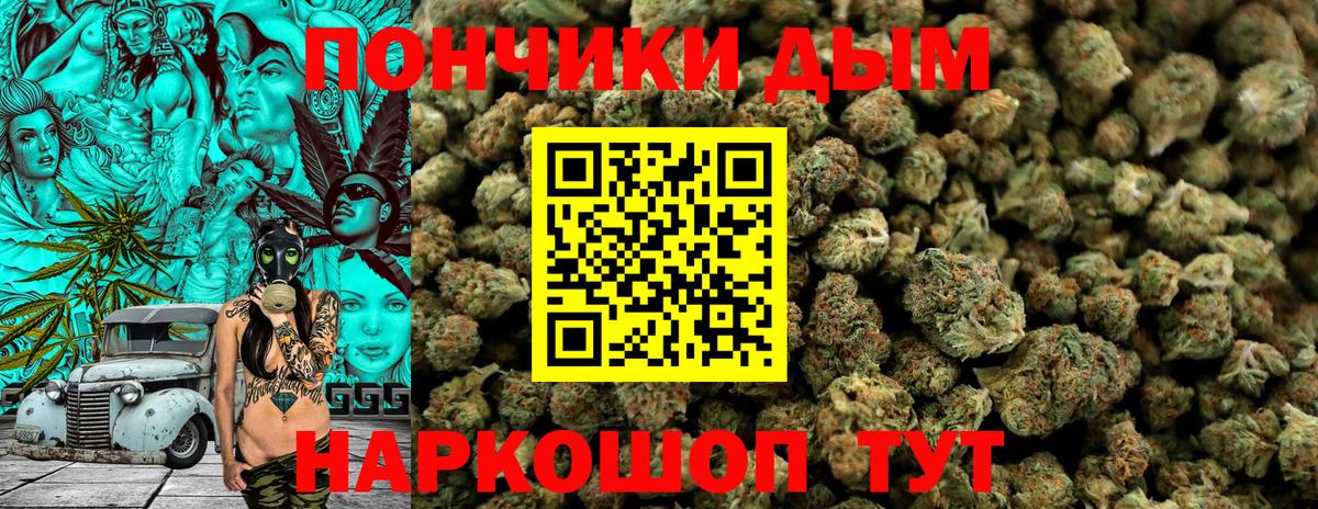 Конопля Bruce Banner Апатиты